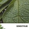 Relaxing Guru、ASMR Rain Sounds、Pluie et tonnerre - Sérénité céleste