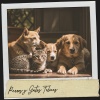 Cat Music Therapy、Calming Music For Pets、Cat Music - Serenidad Nocturna