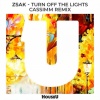 Zsak、Cassimm - Turn Off The Lights (CASSIMM Remix)