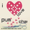 DJ Andrew Steel - I Love Pum Cha! (Extended)