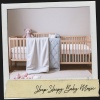 Dog Relaxation、Baby Lullaby、Brainwave Samples - Sweet Slumber Serenade