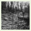 topographies - Night Sea