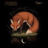 D-Nox、DJ Zombi - Sanctuary of Love