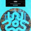 Bruno Mattos、BARUX - MUSIK