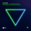 Tali Muss - Impossible