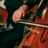 Serenity Stream、Sexual Hypnotic Audio、Sexual Libido Boost - Relaxing Night Sounds with Orchestra