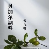 云九卿 - 贝加尔湖畔
