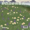 是钟意吕呀 - 野百合也有春天 (你可知道我爱你想你怨你念你深情永不变)