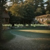 Renaissance Music EDM、断桥琴意 - Lonely Nights in Nighthawks