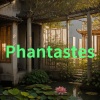 Renaissance Music EDM、画屏疏响 - Phantastes