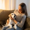 Atmósferas de Lluvia、Musica Relajante para Perros Momentos、Música suave para perros - Relajante Lofi Para Los Días De Perros