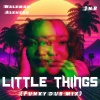 Walkman Alkhebu - Little things (Funky Dub Mix)