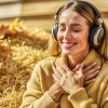 Binary Beats、Relaxing Therapy Academy、Relaxing Zone - Inner Peace Soulful Calm