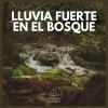 Lluvia del Bosque - Lluvia Fuerte en el Bosque (01)