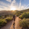 Música tranquila del domingo por la mañana、Sonidos de la Naturaleza Relax、Calmar la Ansiedad - Cuerdas Armonizadas De Paz