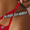DJ Badola Quiriqui Mutante、DJ MAU MAU GORILA MUTANTE、Mc LV、TROPA DO LE - Zn Fodo Sua Xereca (Explicit)