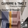 Timo T、DJ Ferre、Freelyvibe - Sound of Reason