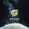 SR万象雲音 - 味蕾的旋律