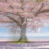 苏默 - 樱花爱恋