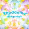 Rhodanthe* - Smiling Bouquet