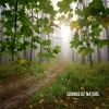 Whale Sounds - Benevolent