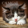 Cats Music Zone、Pet Relax Academy、Calm Cat Therapy - Calm Cat Sleep Training