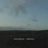 Hector Plimmer - Reflections