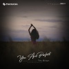 Toly Braun - You Are Perfect