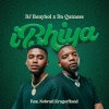 Da Qutness、Nolwazi KrugerRand、DJ Benyboi Zn - iBhiya (feat. Da Qutness & DJ Benyboi Zn)