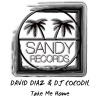 David Diaz、DJ Cocodil - Take Me Home (Original Afro Deep Mix)