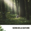 Ocean Sounds Plus、Sleep Songs with Nature Sounds、Sons de la Nature Projet France - Feuilles chuchotantes