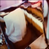 picture frames - 12:26pm (Piano, Accordion, Mellotron)