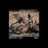 Amarachi Desi - Vultures