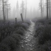 Klordop - Heiderast 1