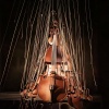 Flow Zen Silent、Focus on Breathing、Flute Music Academy - Strings of Connection