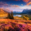Naturaleza de Suecia、Sonidos de lluvia y sonidos de la naturaleza、Sonidos de la naturaleza de la isla - Pensamientos Internos Armonizados