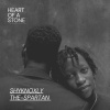 shyknoxly the-spartan - Heart of a Stone