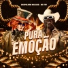 DJ Chapeleiro Maluco、Mc Toy - PURA EMOÇÃO (feat. Mc Toy)