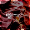 DECIDUOUS - Truth & Lies (Original Mix)