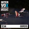 Henny Arve、Intervox Music - Flocks of Birds