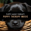 Puppy Music Therapy - Long Fancy
