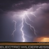 L.porsche - Electric Wilderness