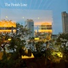 Fiona Campbell - The Finish Line
