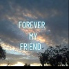 Ferrari - Forever my friend
