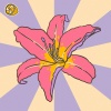 Bonbon Bay、Lemon Kids - Secret Garden