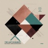 Gustavo Lobo、Rhoddry - The Last Humanist