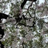 J57、G Koop、YAYennings、Matt Stamm - individuation