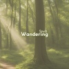 SwuM - Wandering Souls