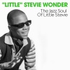 Stevie Wonder - Hallelujah I Love Her So (Remastered)