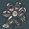 fsnn - unsolved